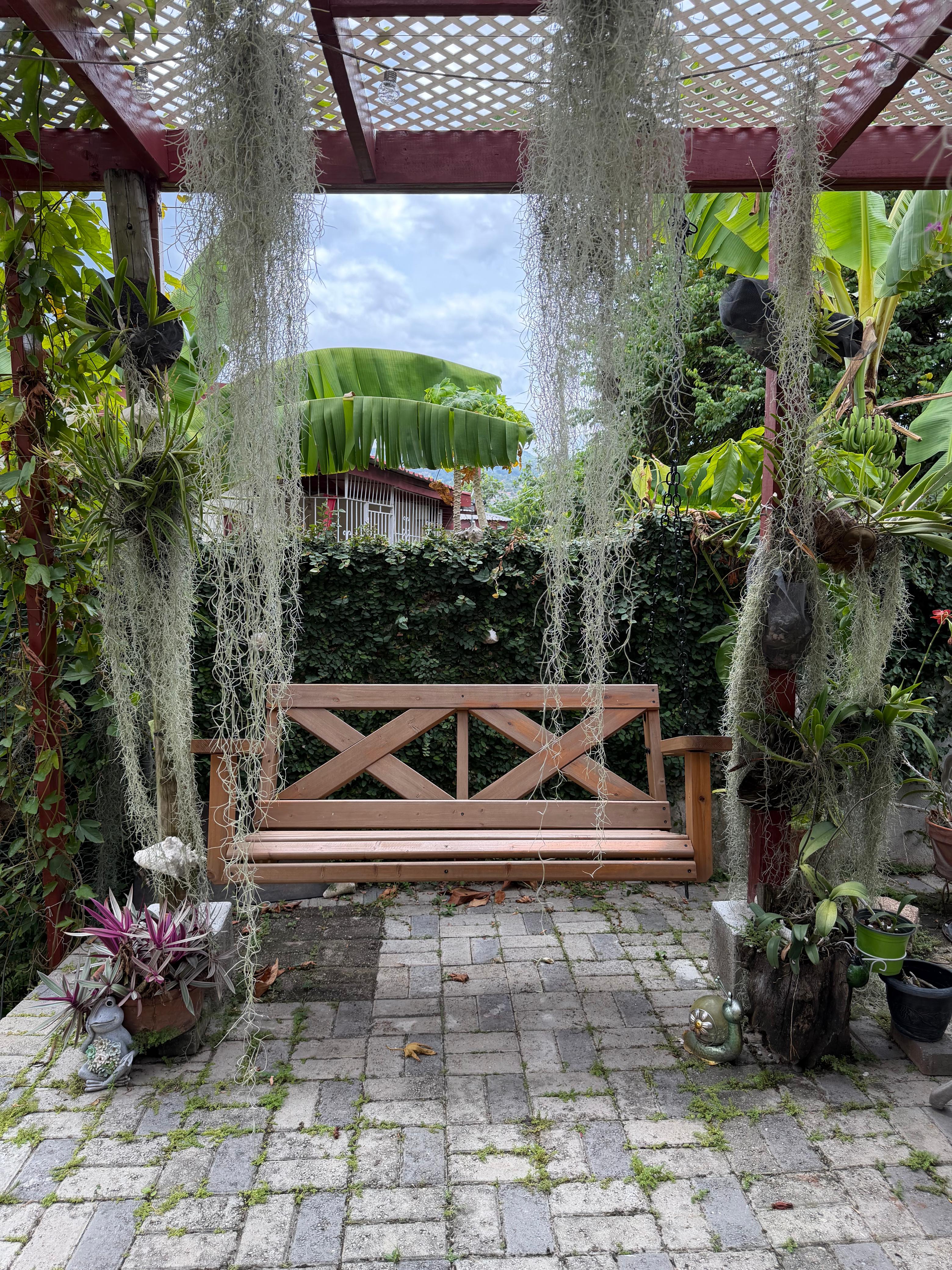 A wooden swing beneath hanging moss, surrounded by the green of Maggie's quiet place.
