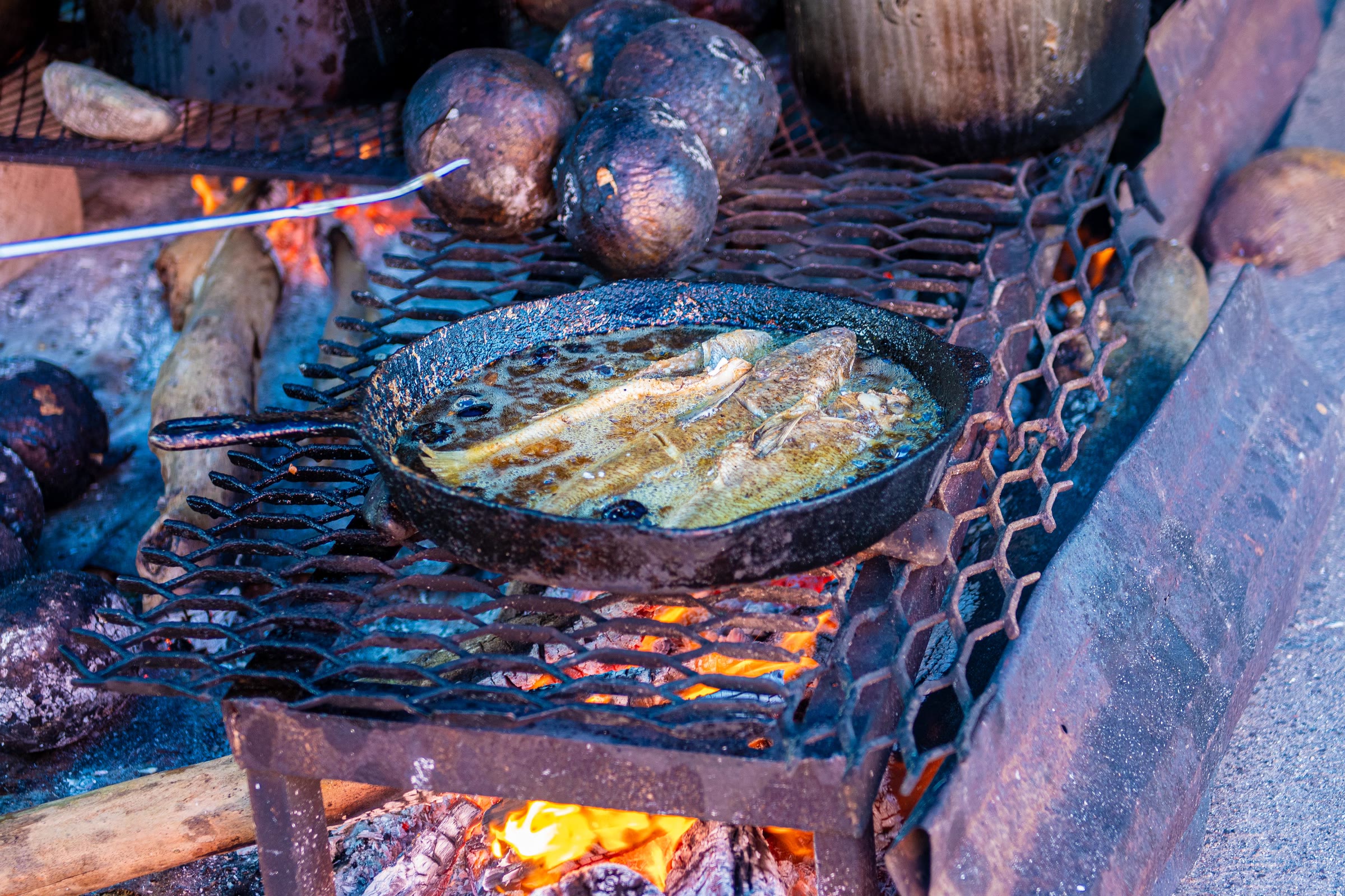 Fish frying in a pan over open coals in the festival village