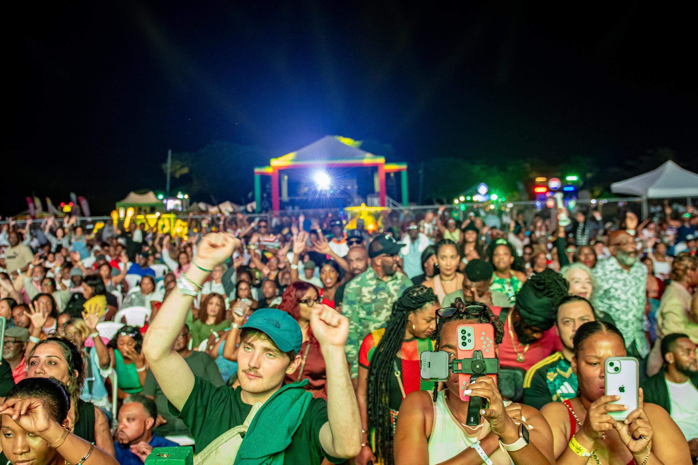 A packed night crowd with fists and phones in the air