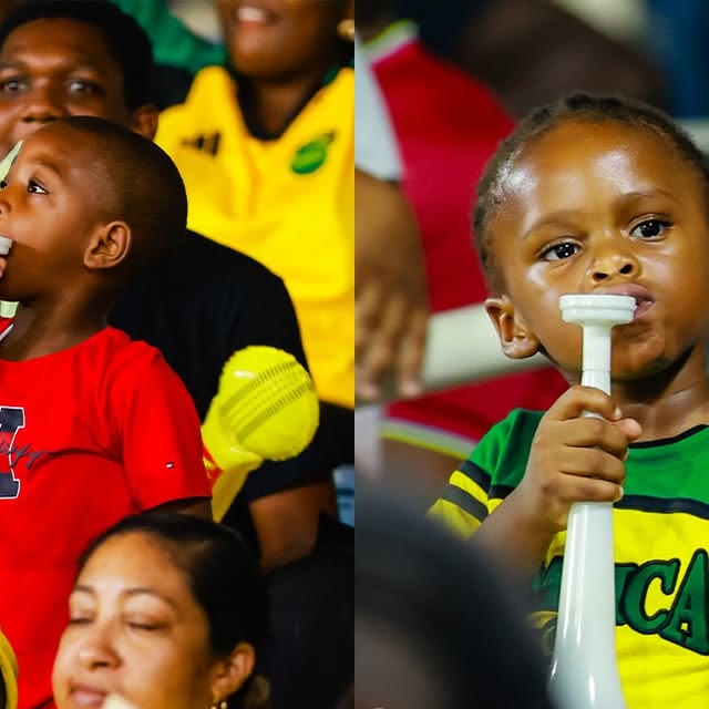 The Sabina Park fan collage post as it appears on Instagram